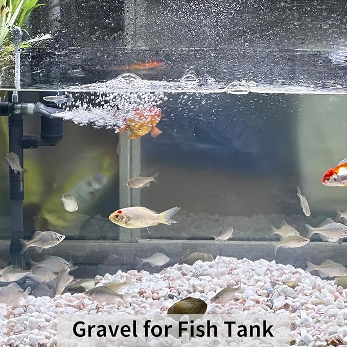 FANTIAN 2 lbs White Rocks for Plants, 3/8 Inch Gravel Pebbles for Plants. - Image 3