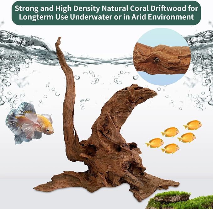 Hamiledyi 2 Pcs Large Driftwood - Image 4