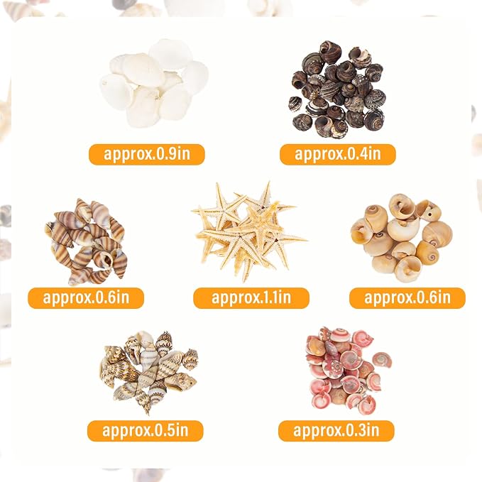 JQAQJU 1000 PCS Mini Sea Shells Small Starfish Mixed, 20 Kinds of Tiny - Image 5