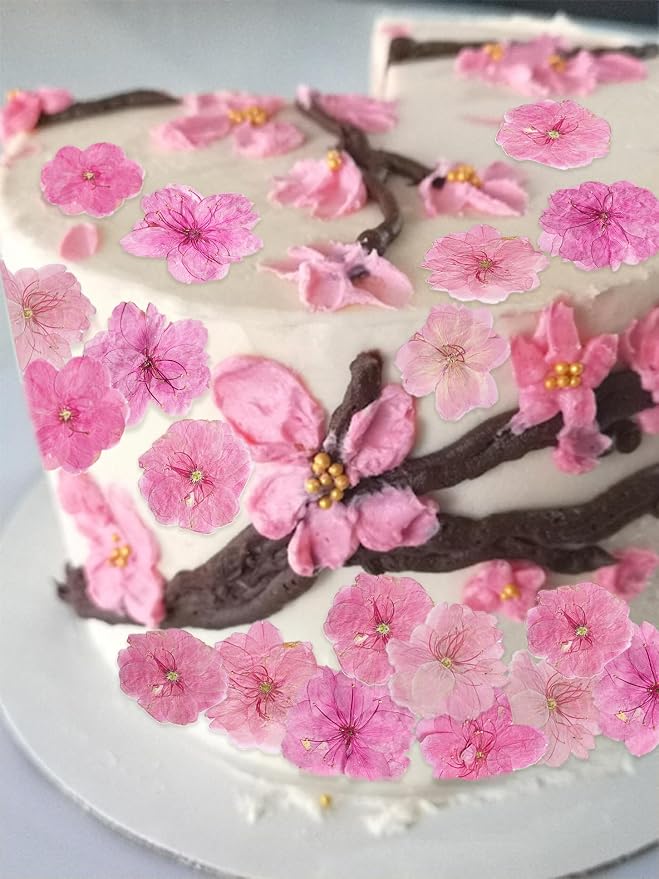 51 Pcs Real Natural Cherry Blossom Dried Pressed Flowers - Image 5