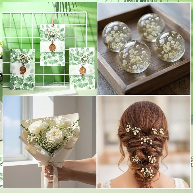 White Babys Breath Dried Pressed Flowers - Image 7