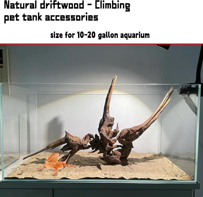 Hamiledyi Aquarium Driftwood, Natural Large 7-15in Coral Driftwood - Image 4