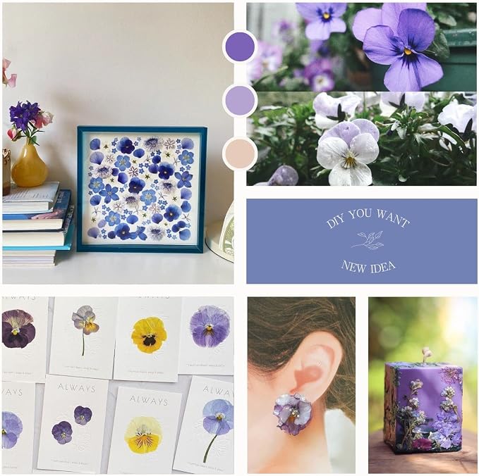 48 Pcs Mix Natural Dried Pressed Flowers - Image 4