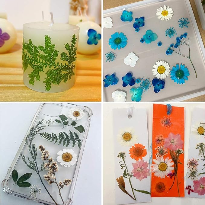 42 PCS Real Dried Pressed Leaf Flowers Plant Herbarium - Image 5