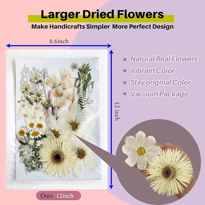 A4 Large Dried Pressed Flowers for Resin Pressed Flowers Real Dry Natural - Image 2