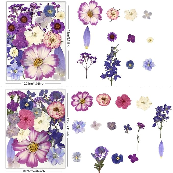 80Pcs Dried Pressed Flowers Purple, Real Natural Bulk Pressed Flowers - Image 2