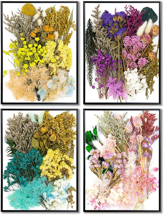 Vignee Real Dried Pressed Leaf Flowers-Multiple Colorful Pressed Flowers Daisies - Image 6