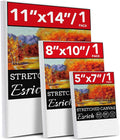 3 Pack Canvases for Painting by ESRICH