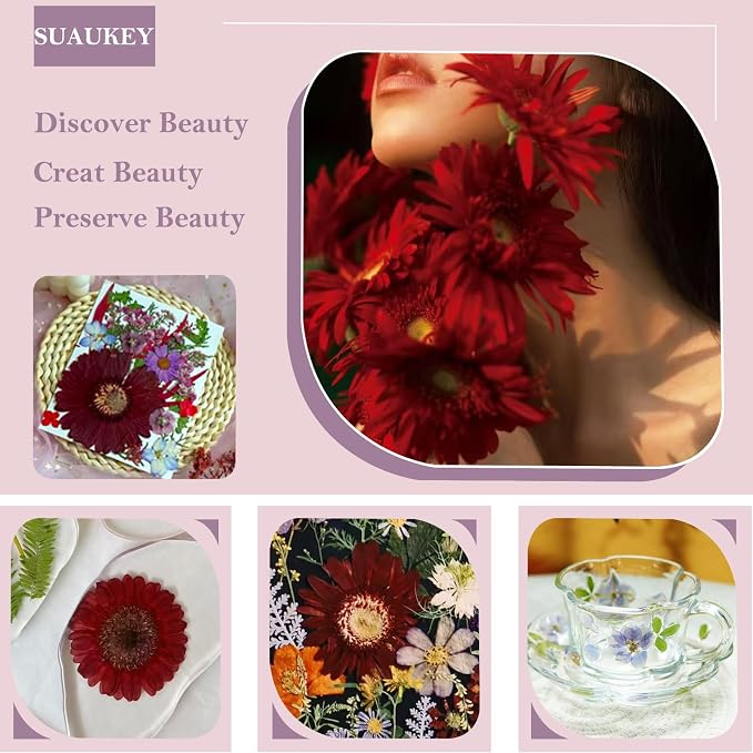 26 Pcs Purple Big Dried Pressed Flowers - Image 3