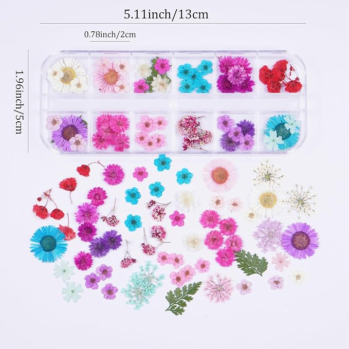 60Pcs Small Dried Pressed Flowers - Image 2