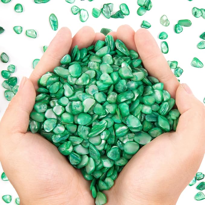QICQDRAM Crushed Shells for Crafts About 2LB Small Natural Crushed Shells Bulk by QICQDRAM