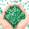 QICQDRAM Crushed Shells for Crafts About 2LB Small Natural Crushed Shells Bulk by QICQDRAM