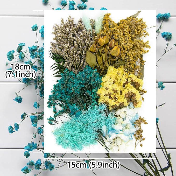 Vignee Real Dried Pressed Leaf Flowers-Multiple Colorful Pressed Flowers Daisies - Image 2