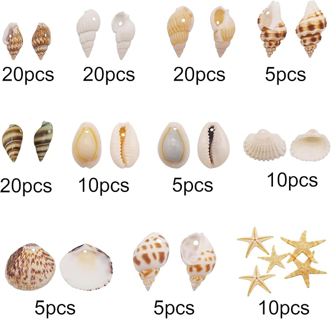 yaokan Natural Sea Shells & Starfish Set, Drilled Beach Shells | DIY Crafts - Image 2