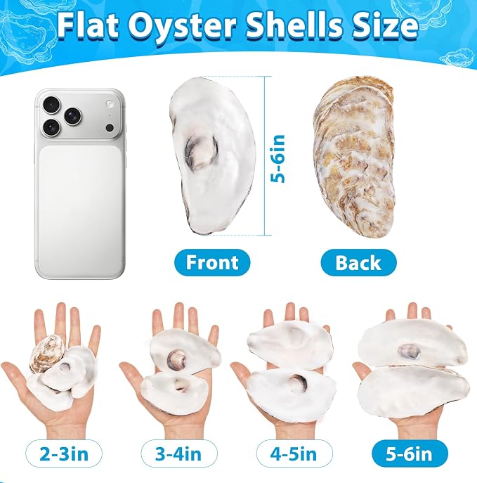 30Pcs Large Flat Oyster Shells for Crafts, 5-6 Inch Cleaned Natural Oyster - Image 5