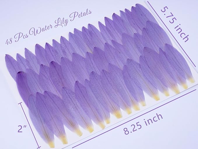48 Pcs Mix Natural Dried Pressed Water Lily Petals - Image 2