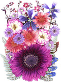 35Pcs Dried Pressed Flowers for Crafts Resin DIY Art Natural Dry Floral Large by TopFunny