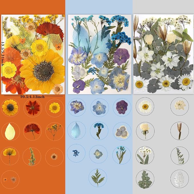 180Pcs Dried Pressed Flowers, Natural Dried Flowers Bulk - Image 3