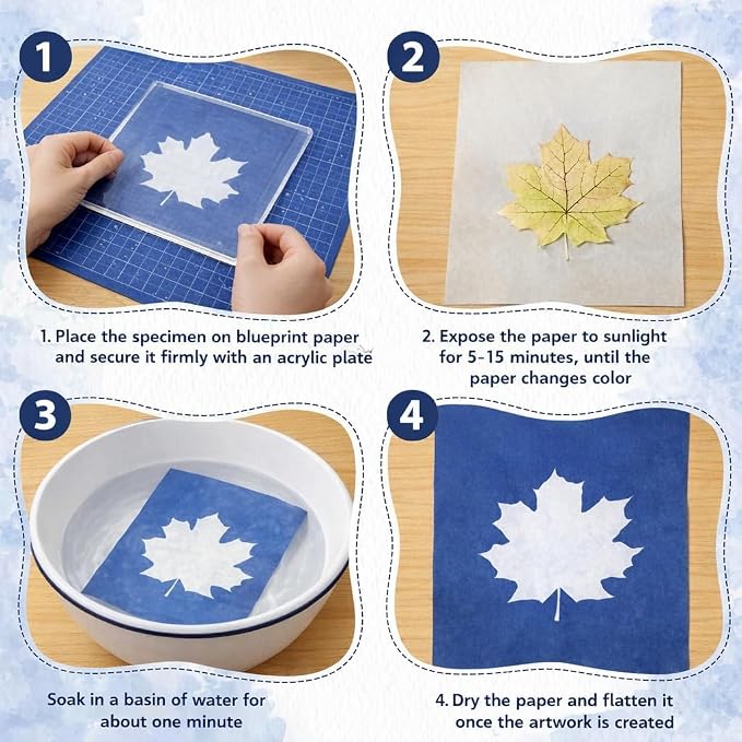 Cyanotype Kit with 50 Sheets Sun Print Paper & Acrylic Panel, Solar Printing - Image 5