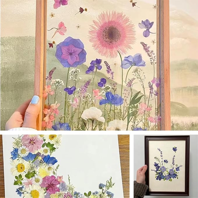 Dried Pressed Flowers - Image 6