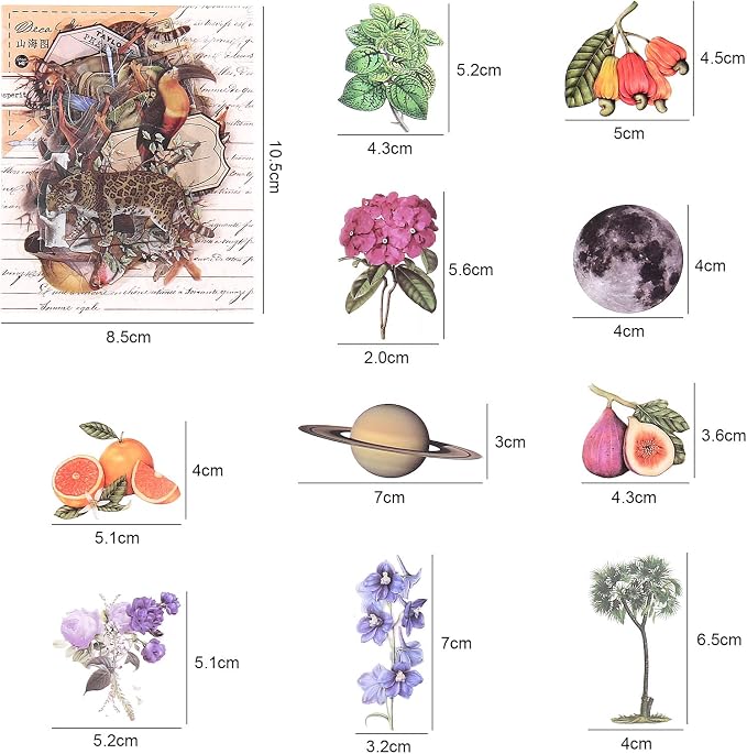 Nature Themed Transparent Pre-Cut Stickers - Image 3