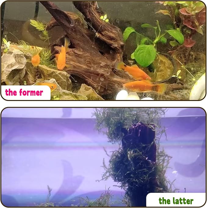 Hamiledyi 5PCS Driftwood for Aquarium Decor 3.5-7in Spider Wood Betta Fish Tank - Image 7