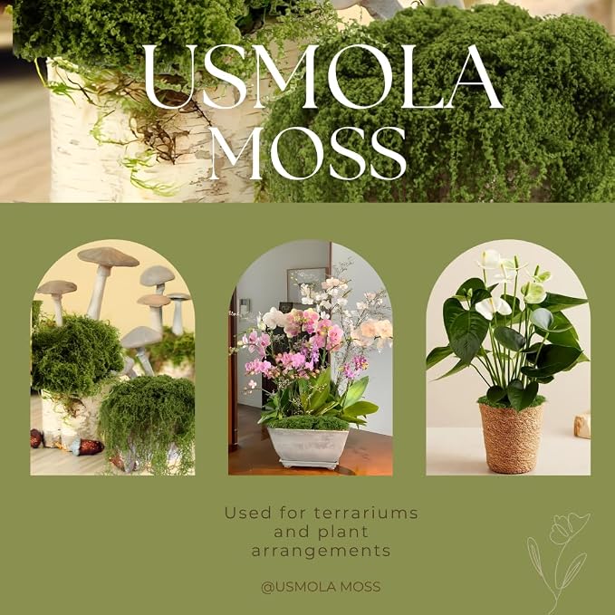 USMOLA 3.5OZ Fake Moss for Plants Indoor - Image 7