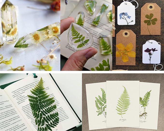 85PCS Real Green Dried Pressed Leaf Leaves, 28 Styles Greeny Mixed | 85PCS Real - Image 6
