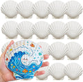 20 PCS 5"-6" Extra Large Scallop Shells by DOODLEBEAN