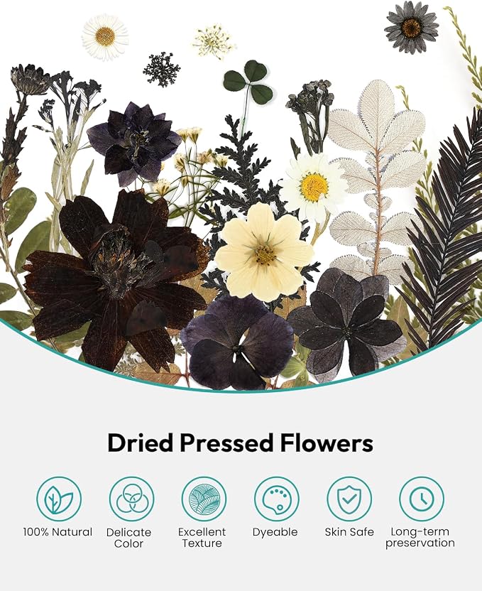 Dried Flowers, Resiners 100Pcs Pressed Flowers - Image 4
