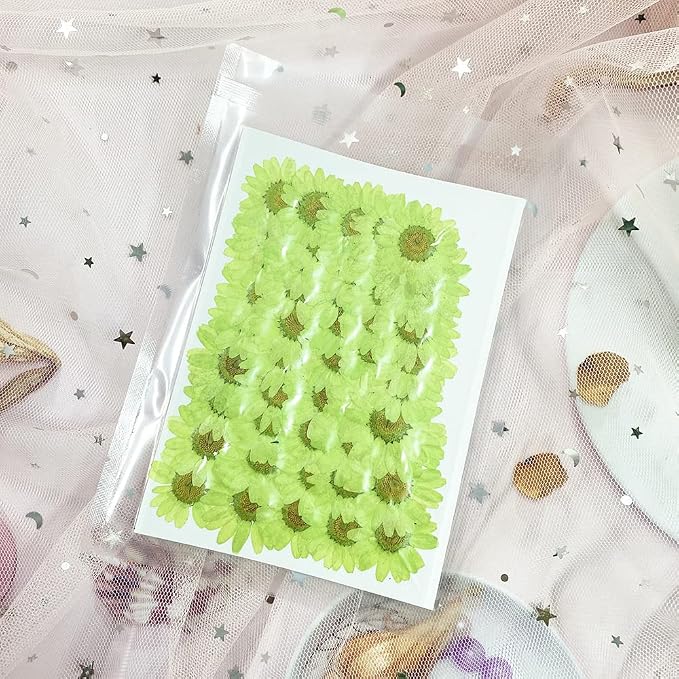 50pcs Natural Dried Daisy Flower, Vacuum Packaging, Pressed Flower - Image 4