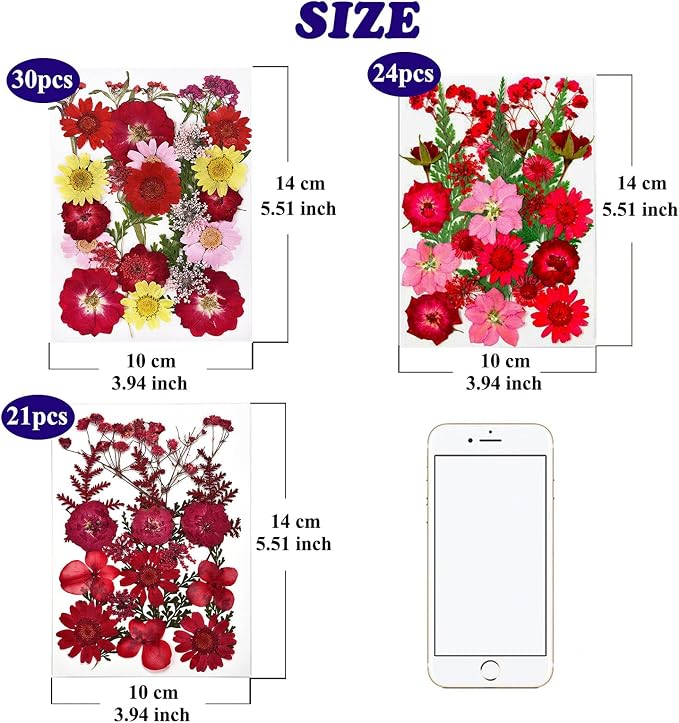 75 Pcs Red Dried Flowers Real Natural Pressed Leave Petals - Image 7