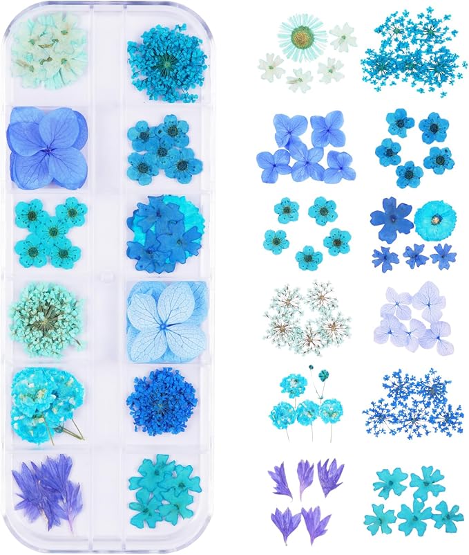 60Pcs Blue Small Dried Pressed Flowers by Unknown