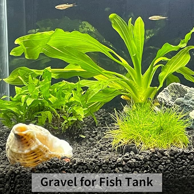 FANTIAN 5lbs Black Pea Gravel, 3/8 Inch Decorative Pebbles Succulent Rocks - Image 8