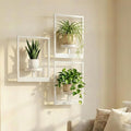 Picture Frame Wall Planters Set of 3, Modern Metal Hanging Shelves by Bbteroiu