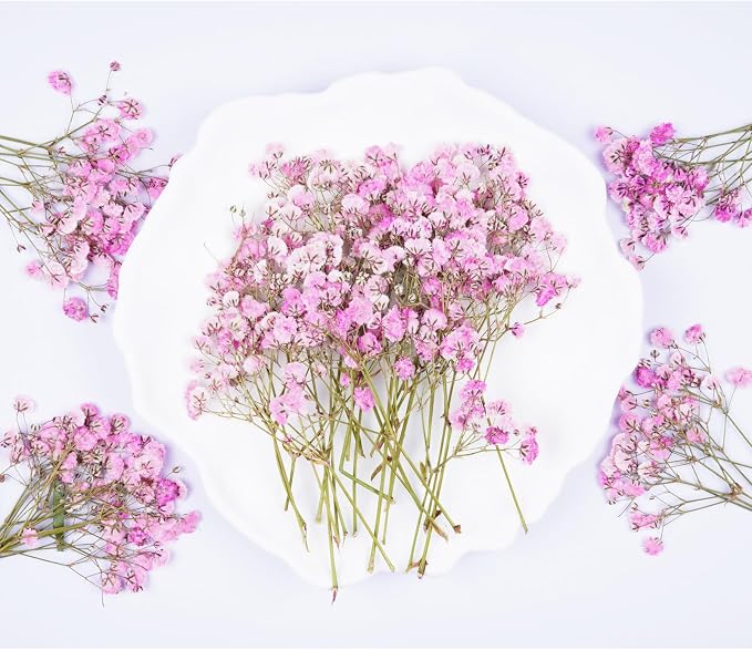 50Pcs Pink Babys Breath Dried Pressed Flowers - Image 3