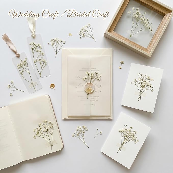 48 Pcs Natural Dried Pressed Mini Baby's Breath Flowers - Image 6