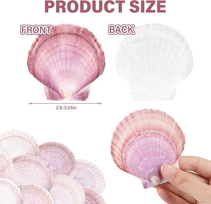 30PCS Natural Scallop Shells Purple Red Sea Shells, Real Seashells from Beach - Image 3