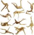 10 Pcs Natural Small Spiderwood by GDMYST