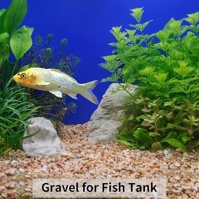 FANTIAN 2 lbs Pea Gravel - Image 6