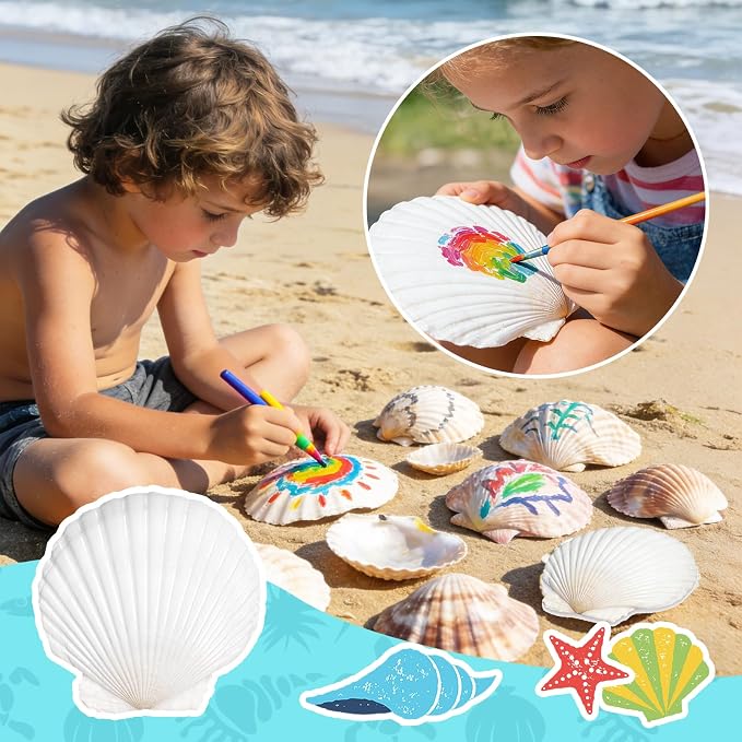 Baaxxango 12 PCS 4-5 Inch Large Scallop Seashells, Natural White Shells - Image 7