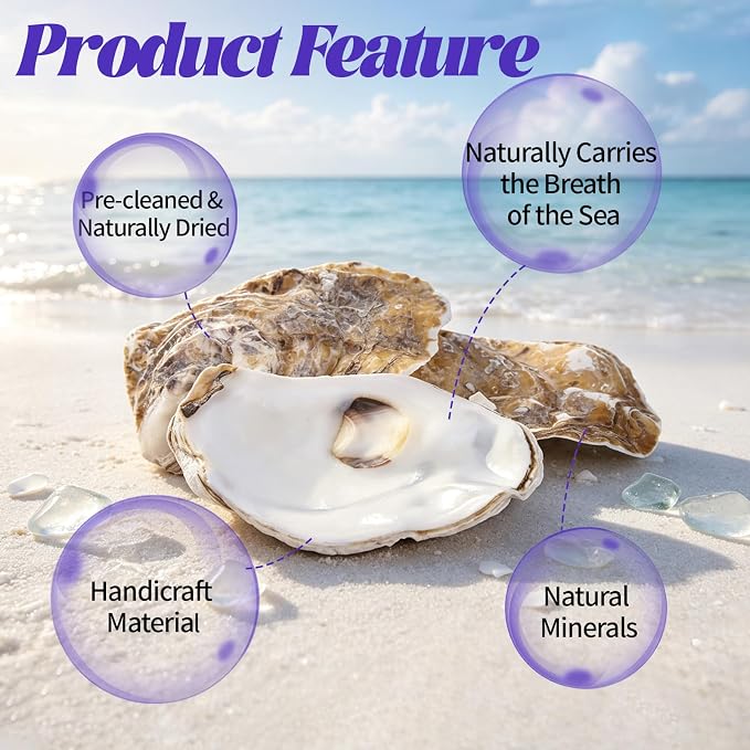 SINKOO 20PCS Flat Oyster Shells 4"-6", Large Oyster Shells - Image 3