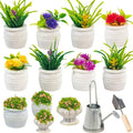 Miniature Dollhouse Accessories, Mini Plants by SAMCAMI