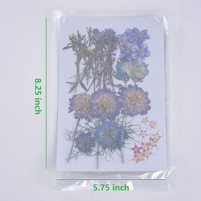 8 Types 46pcs Real Dried Pressed Flowers Leaf Plant Herbarium - Image 2