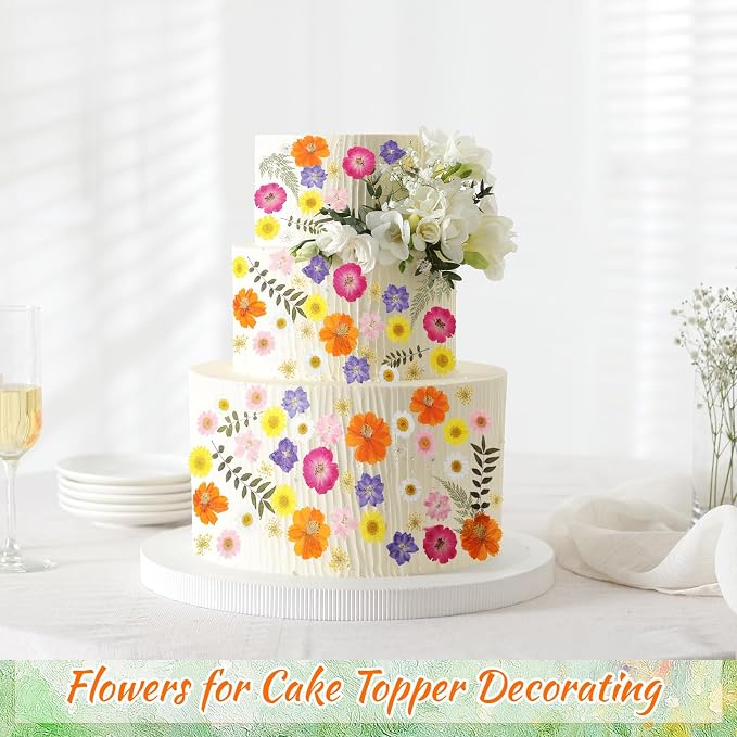 96 Pcs Natural Dried Pressed Flowers - Image 2