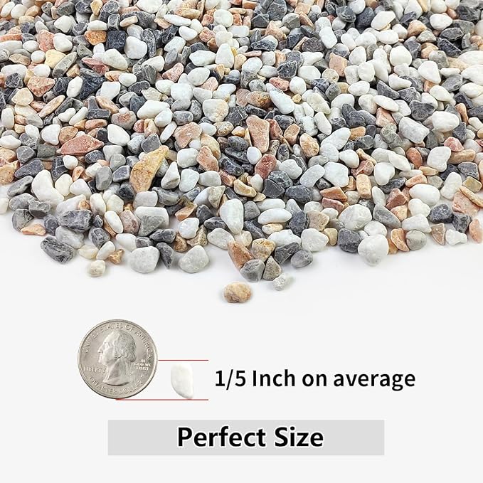 YISZM 10LB Succulent and Cactus Gravel Pebbles, 1/5 Inch Natural Decorative - Image 2