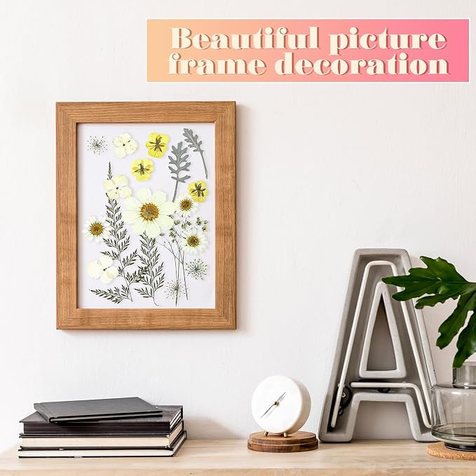 EBOOT 72 Pcs Dried Pressed Flowers - Image 5