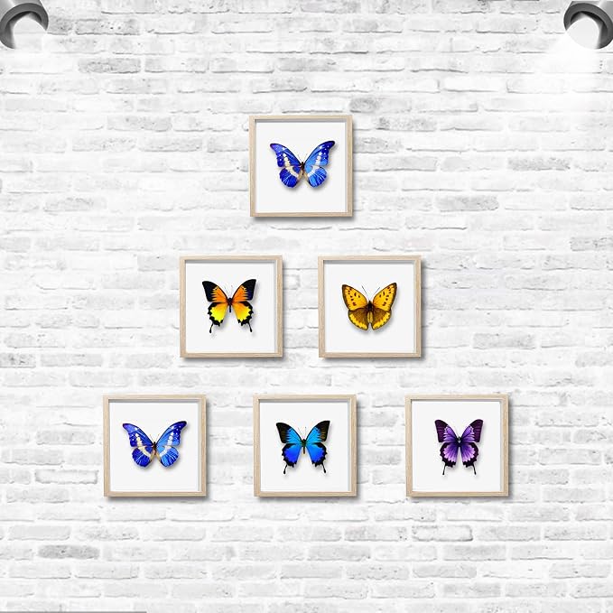 5x5 Small Shadow Box Frame, Display Case Box - Image 4