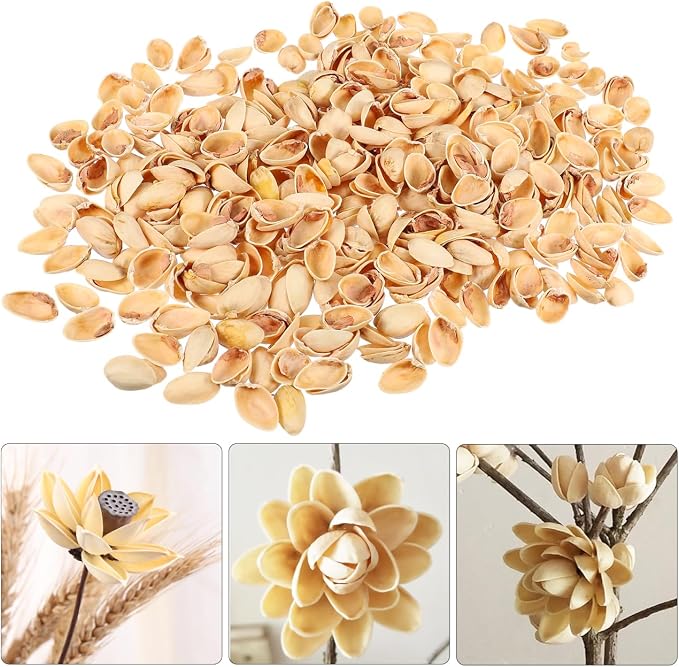 SEWACC Empty Pistachio Shells for DIY Crafts, Natural Handicraft Material for - Image 4