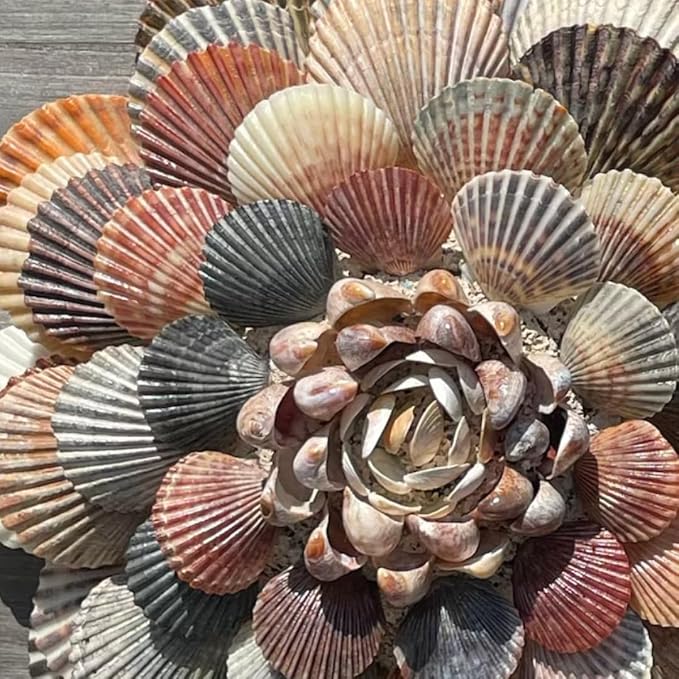 BEACON Sea Shell Glue for Creating and Decorating - Image 7